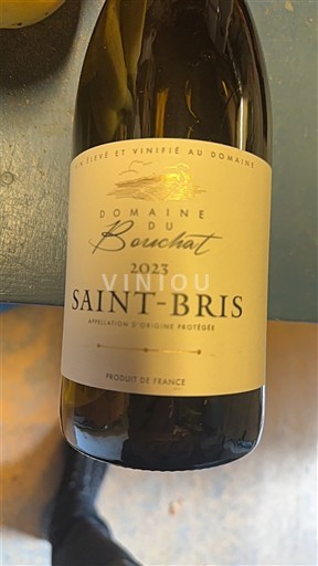 Burgundy Saint-Bris Domaine Bouchat 2023