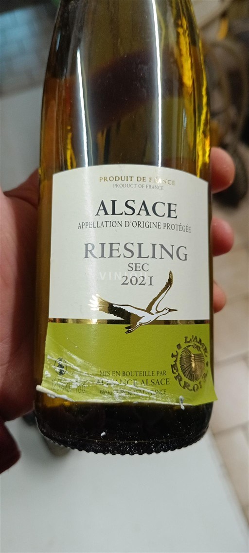 Alsace L ame du terroir 2021