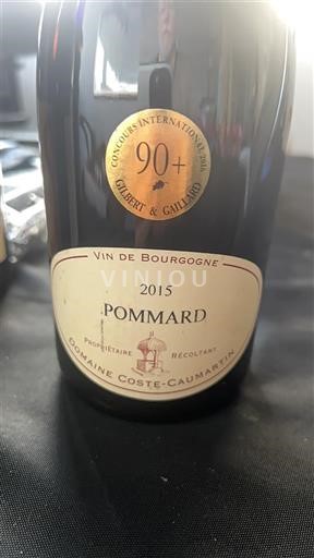 Bourgogne Pommard Domaine Coste-Caumartin Les Montejues 2015