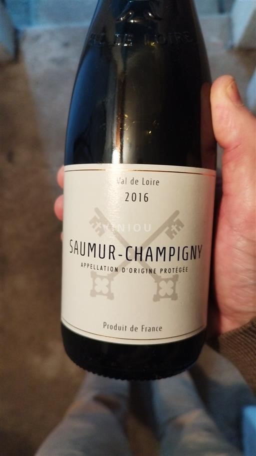 Valle della Loira Saumur-Champigny Les caves des Perrières 2016