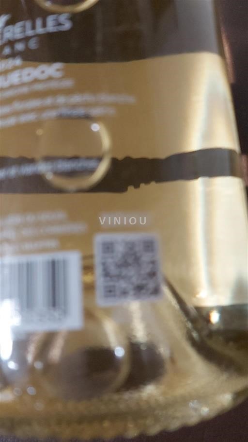 Languedoc No especificado Terra vinea 2024