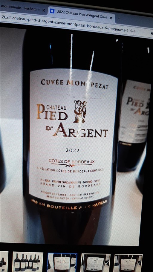 Bordeaux Côtes-de-Bordeaux Château Pied Argent Mon Pezat 2022