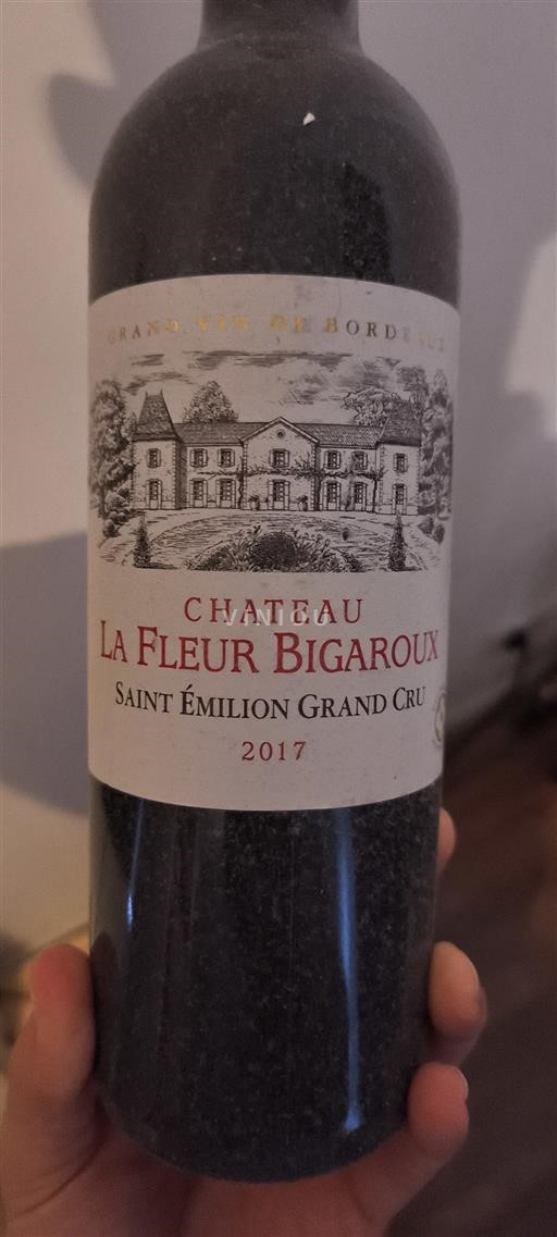 Bordeaux Saint-Émilion Grand Cru Château La Fleur Bigaudoux 2017