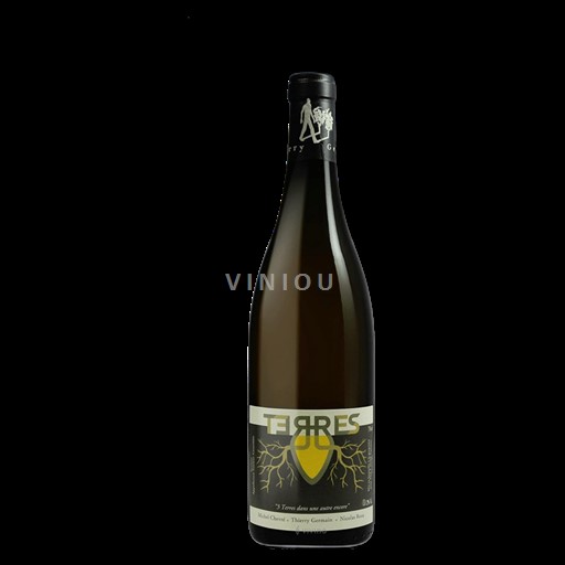 Loirevallei Saumur Domaine Des Roches Neuves Terres 2019