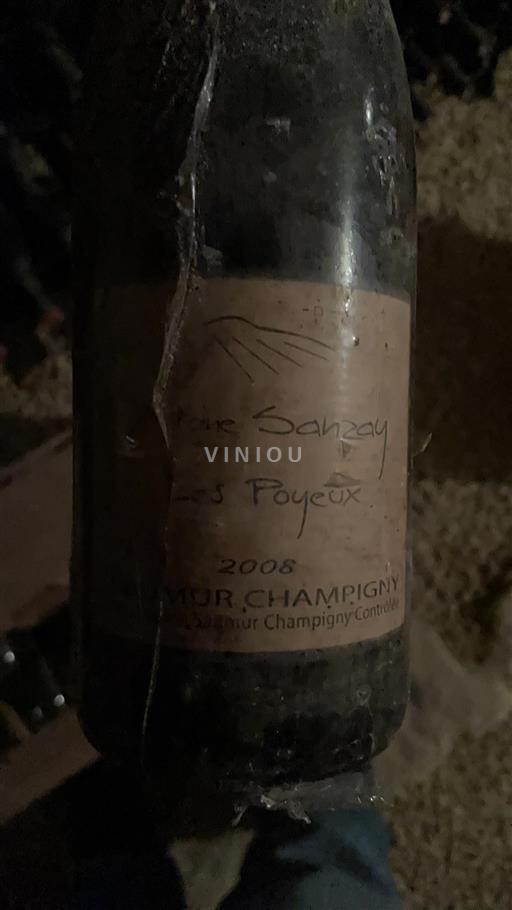 Valle della Loira Saumur-Champigny Domaine Sanzay Les Poyeux 2008