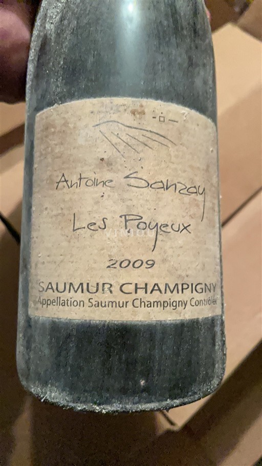 Valle della Loira Saumur-Champigny Antoine Sanzay Les Poyeux 2009