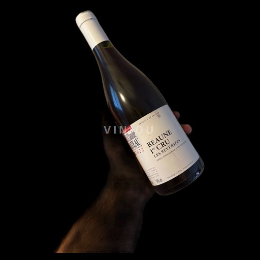 Bourgogne Premier Cru Domaine Chandon de Briailles Les Reversées 2022