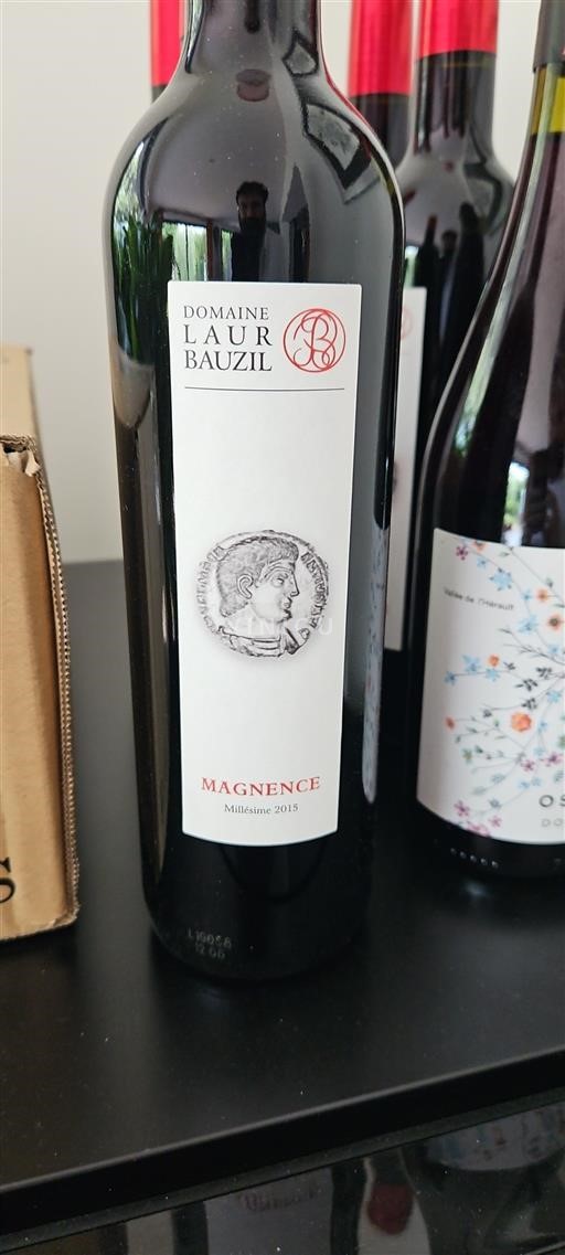 Linguadoca Minervois Domaine Laur Bauzil Magnence 2015