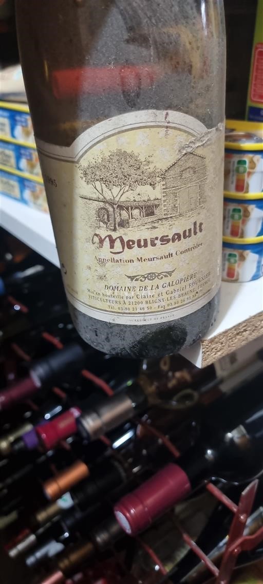 Burgundy Meursault Domaine La Galopière 1995