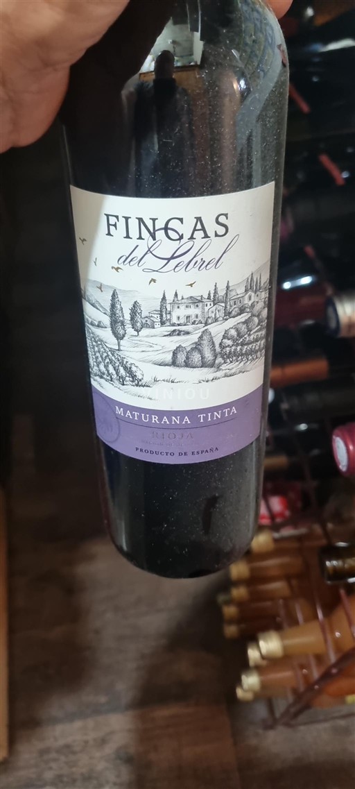 Rioja Fincas del Lebrel Maturana Tinta Non-Vintage