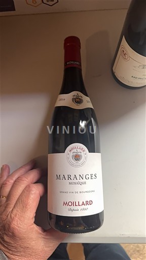 Bourgondië Maranges Grand Cru Moillard Mosaïque 2019