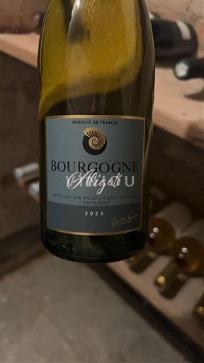 Burgundija Bourgogne Aligoté Vignerons des Grandes Vignes 2023