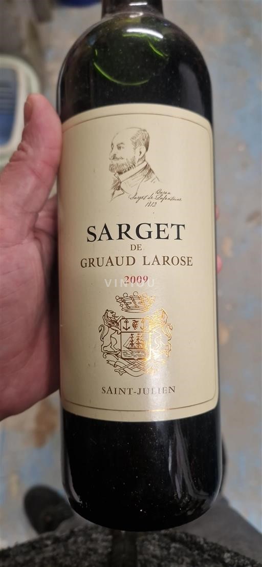 Bordeaux Saint-Julien Gruaud Larose Sarget 2009
