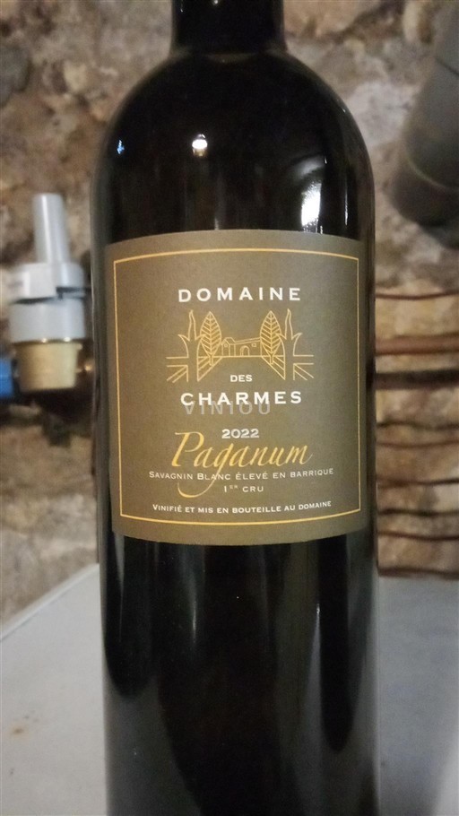 Wallis Amigne de Vétroz Domaine Des Charmes Paganum 2022