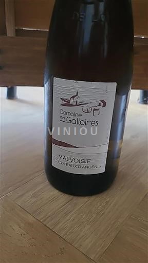 Loirevallei Coteaux d'Ancenis Domaine Des Galloires Malvoisie 2013