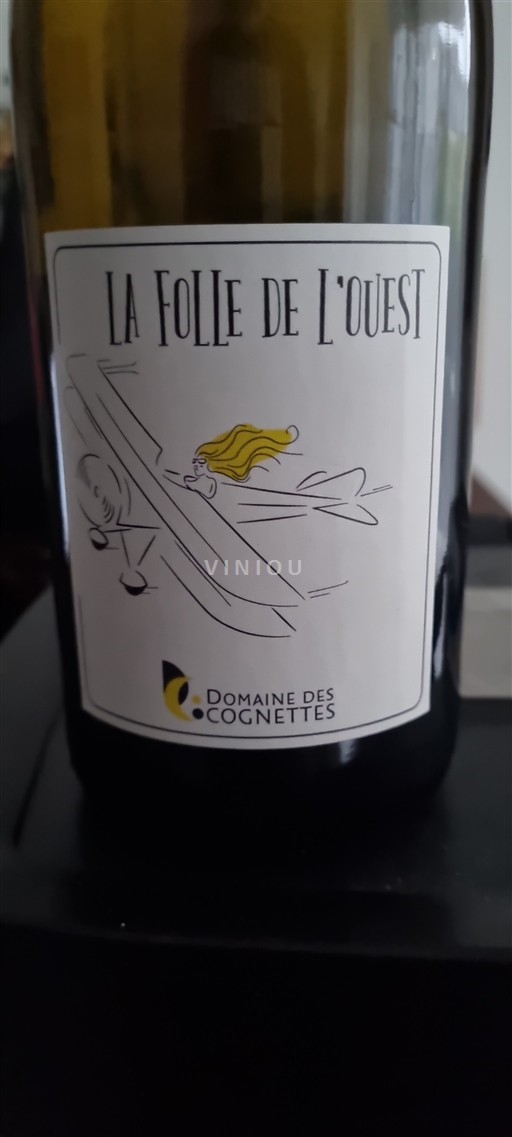 Valle della Loira Muscadet Sèvre et Maine Domaine Des Cognettes La Folle de l'Ouest 2023