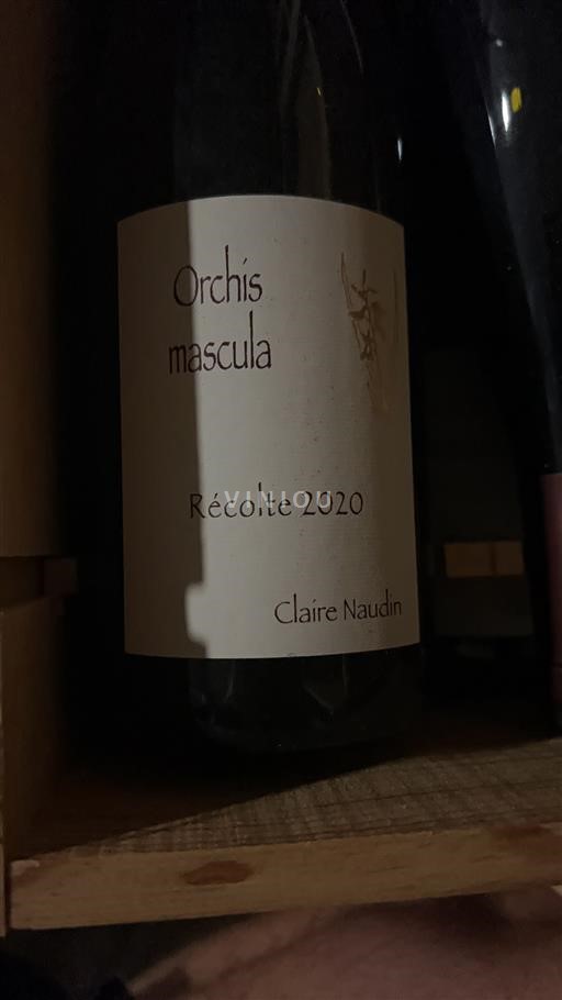 Burgundy Not Specified Claire Naudin Orchis Mascula 2020
