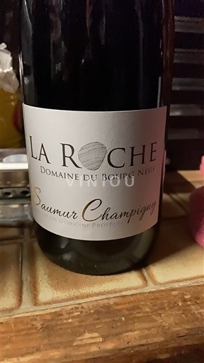Loire Valley Saumur-Champigny Domaine Bourg Neuf La Roche 2024