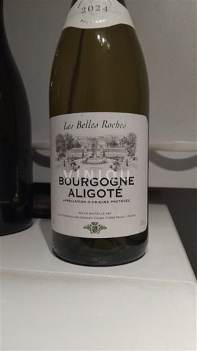 Burgundi Bourgogne Aligoté Les Belles Roches 2024