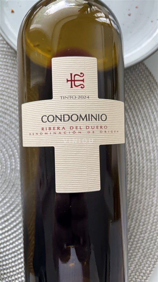 Castilien og León Ribera del Duero Condominio 2024