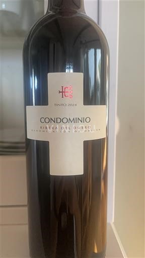 Castille et León Ribera del Duero Condominio 2024