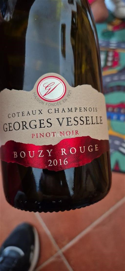 Samppanja Coteaux Champenois Georges Vesselle Bouzy Rouge 2016