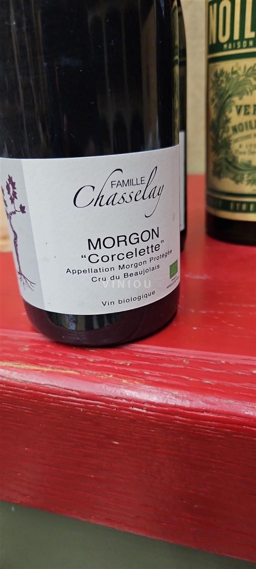 Beaujolais Morgon Famille Chasselay Corcelette 2019