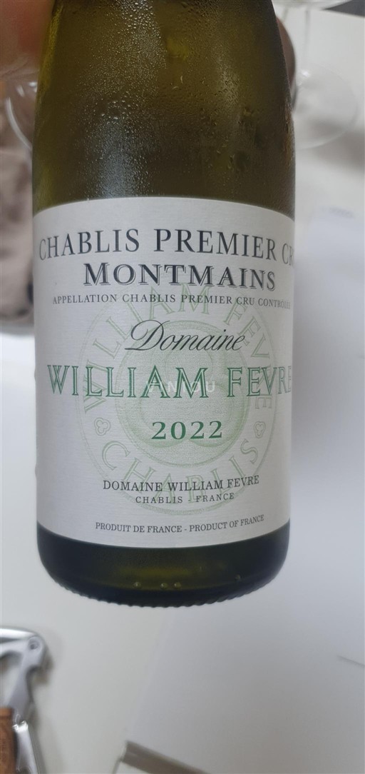 Bourgogne Chablis Premier Cru Domaine William Fèvre 2022