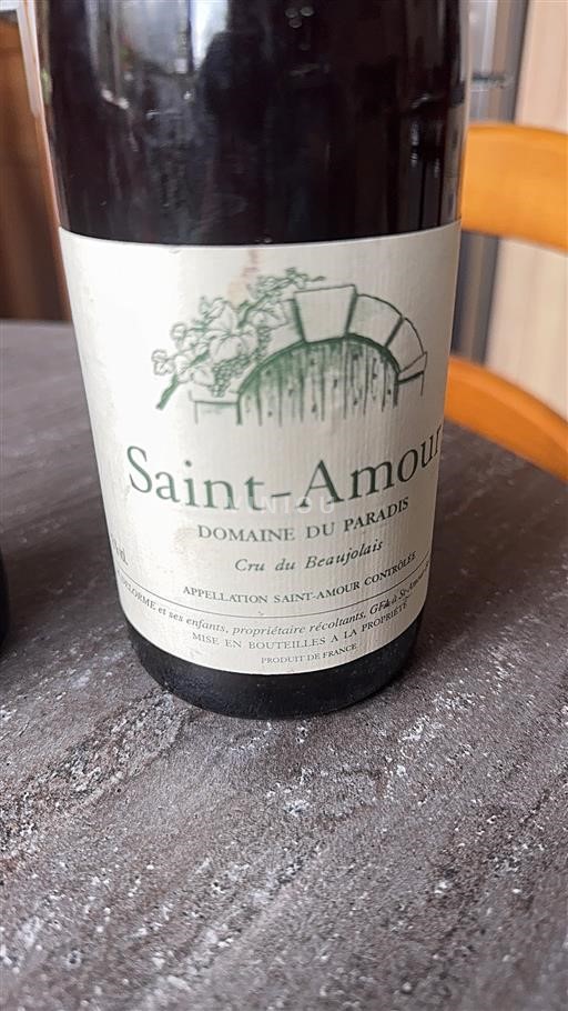Beaujolais Saint-Amour Domaine Paradis 2004