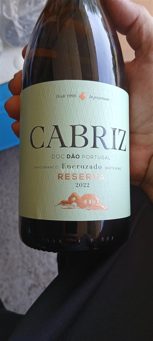 Portugal Dão Cabriz Reserva 2022
