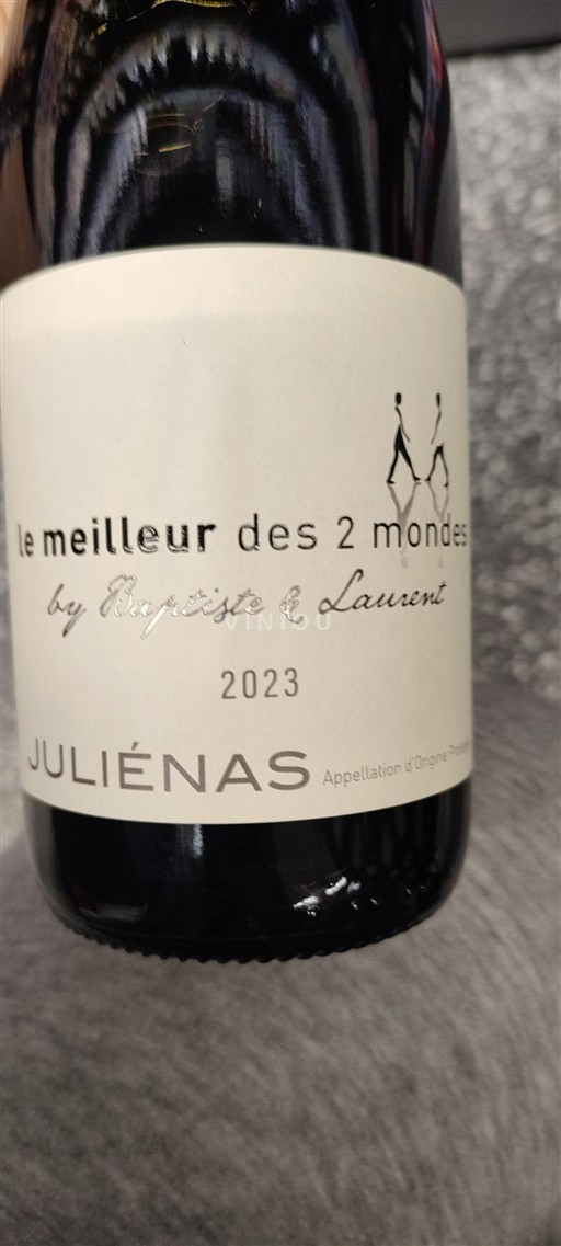 Vin Rouge sec Le meilleur des 2 mondes 2023 France Beaujolais Juliénas AOC
