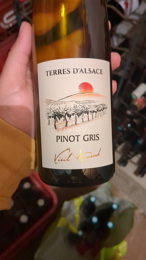 Alsasko Rulandské šedé Grand Cru Vieil Armand Terres d'Alsace 2023