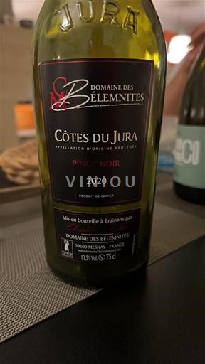 Jura Côtes-du-Jura Domaine Des Bélémites Pinot Noir 2020