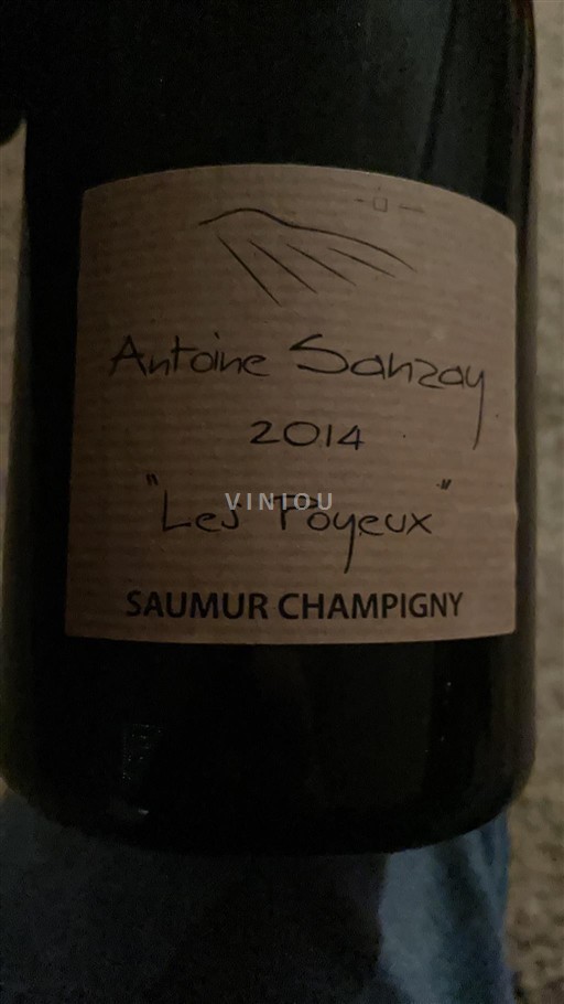 Valle della Loira Saumur-Champigny Antoine Sanzay Les Poyeux 2014