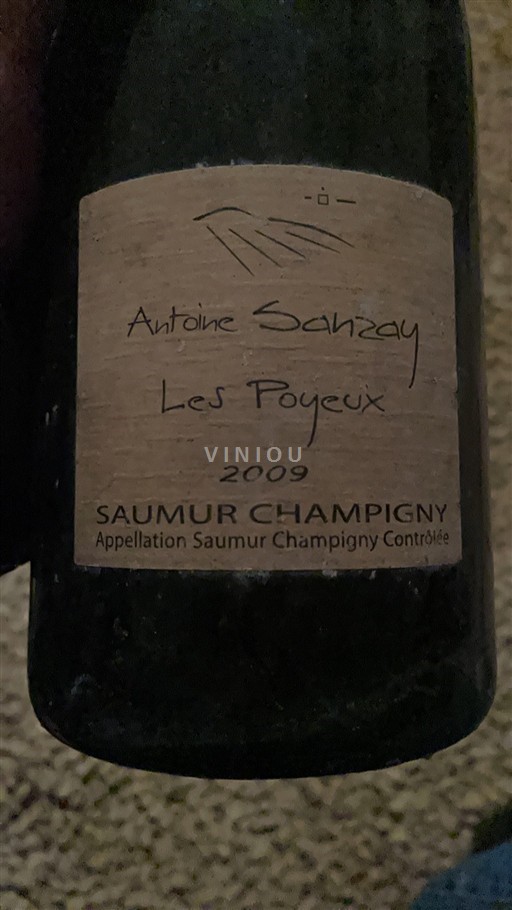 Valle della Loira Saumur-Champigny Antoine Sanzay Les Poyeux 2009