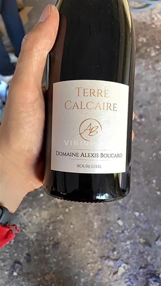 Loire Valley Bourgueil Domaine Alexis Boucard Terre Calcaire Non-Vintage