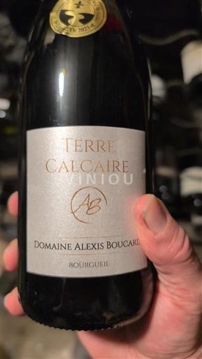 Thung lũng sông Loire Bourgueil Domaine Alexis Boucard Terre Calcaire Không niên vụ