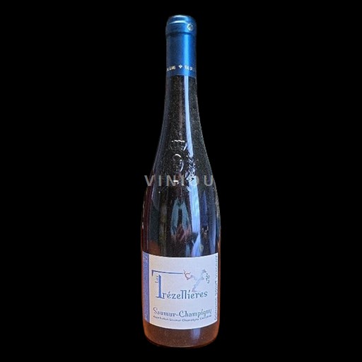 Valle della Loira Saumur-Champigny Domaine Saint Vincent Les Trézellières 2013