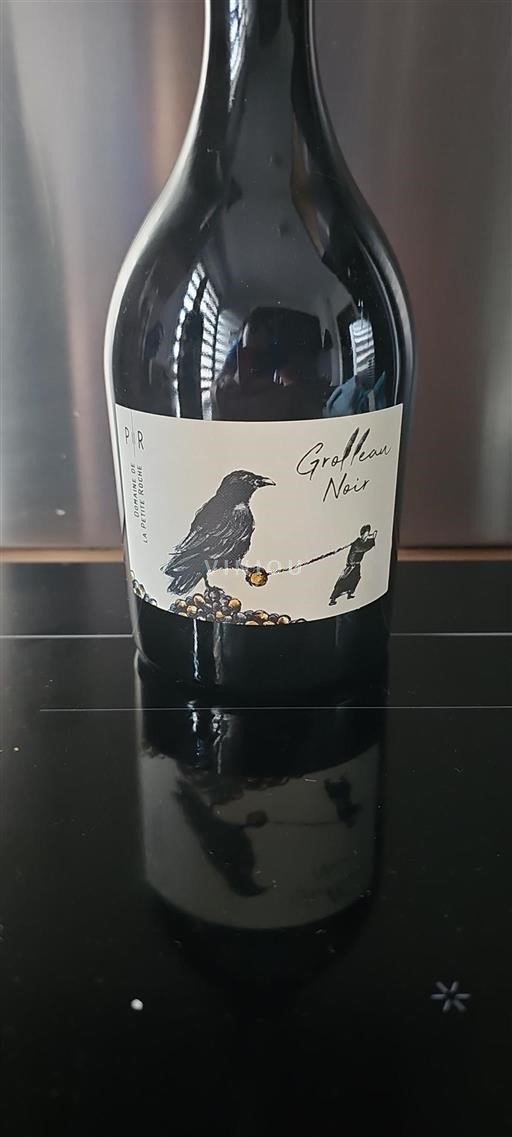Loirevallei Niet gespecificeerd Domaine La Petite Roche Grolleau Noir 2022