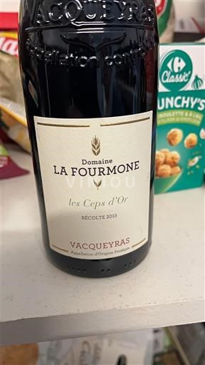 Valle del Rodano Vacqueyras Domaine La Fourmone Les Ceps d'Or 2015
