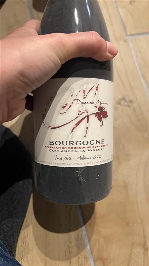 Bourgondië Bourgogne Domaine Moussu 2022