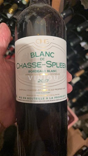 Bordeaux Bordeaux blanc Chasse-Spleen Blanc de Chasse-Spleen 2017