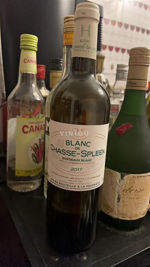 Bordeaux Bordeaux blanc Chasse-Spleen Blanc de Chasse-Spleen 2017