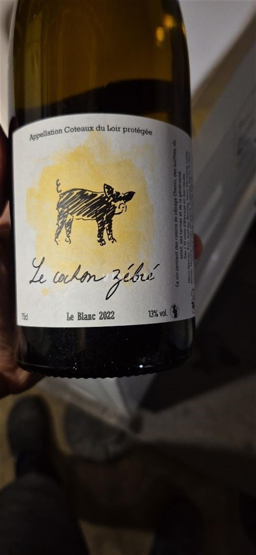 Dolina Loare Coteaux-du-Loir Le cochon zébré 2022