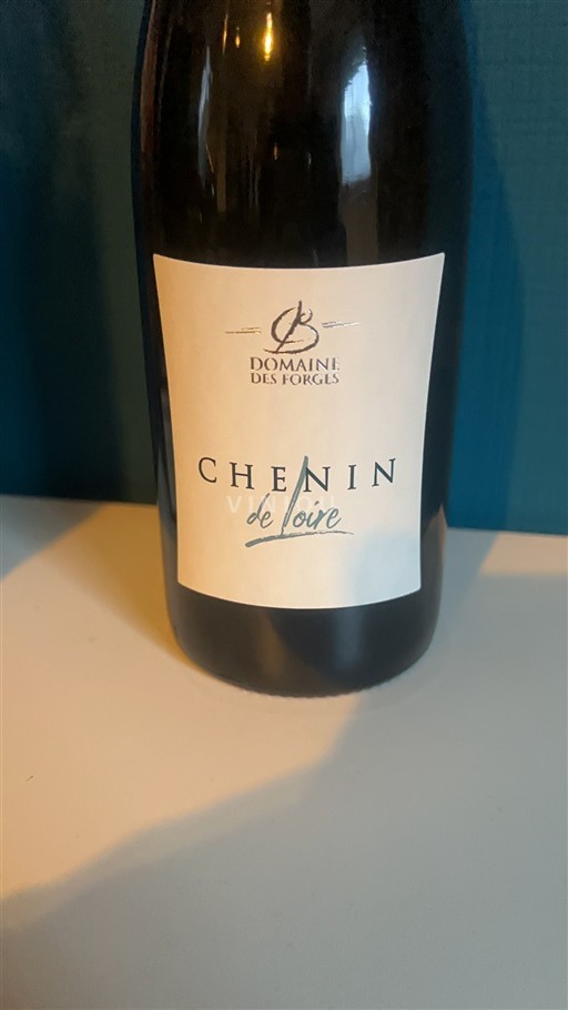 Valle del Loira Anjou Domaine Des Forges Chenin de Loire 2024