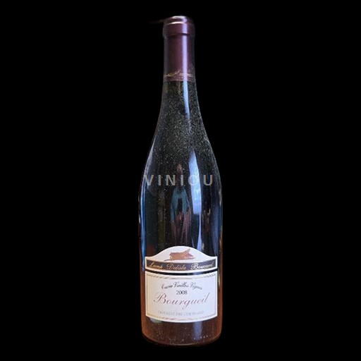 Valle del Loira Bourgueil Domaine Des Chesnaies Vieilles Vignes 2008