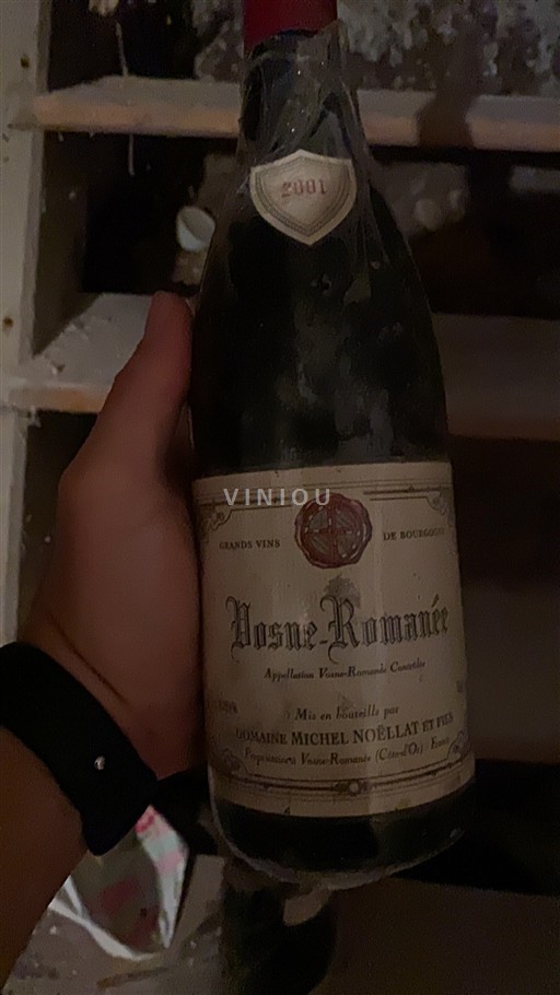 Bourgogne Vosne-romanée Domaine Michel Noëllat et Fils 2001
