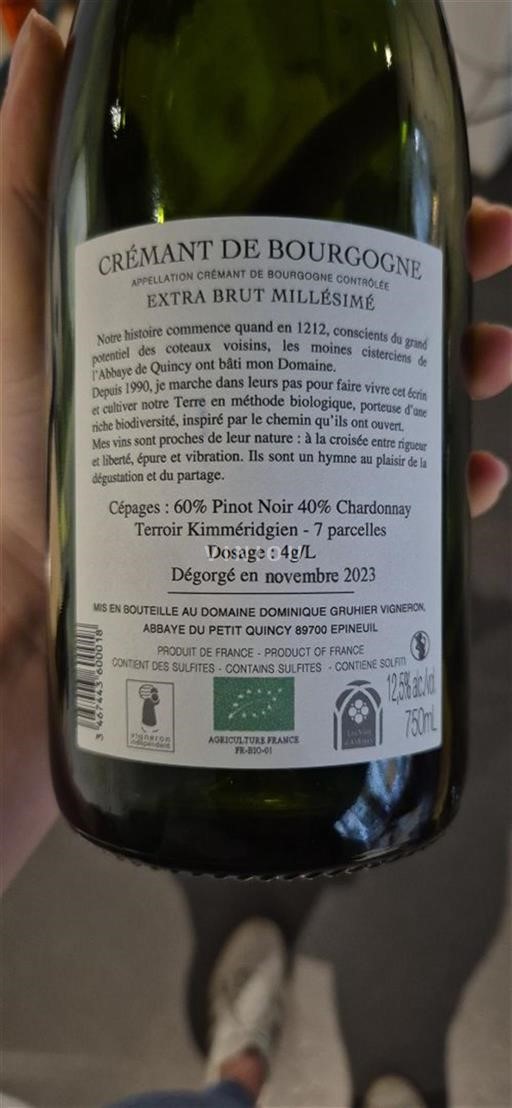 Borgogna Crémant di Borgogna Domaine Dominique Gruhier Extra Brut Millésimé Senza annata
