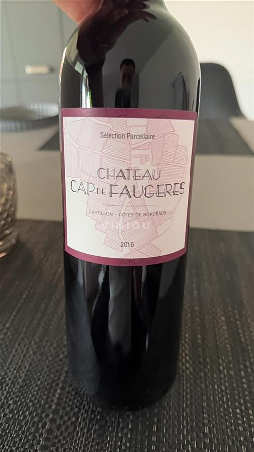 Bordeaux Castillon-côtes-de-bordeaux Château Cap de Faugères Sélection Parcellaire 2016
