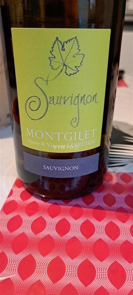 Loirevallei Anjou Montgilet Sauvignon 2023